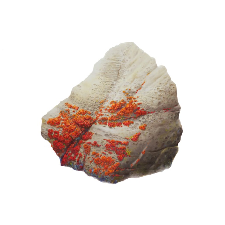 orange-for-publicity1