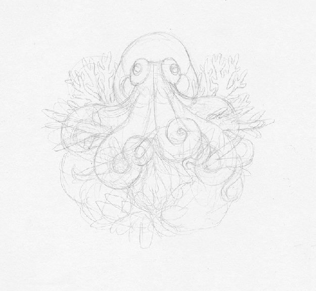 Keller-Timelapse-Octopus