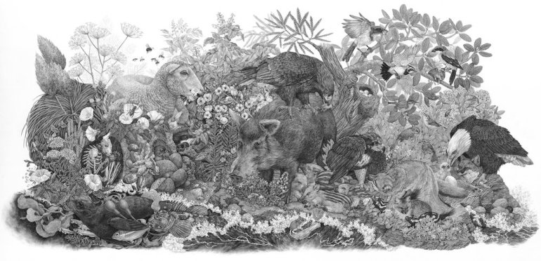 Limuw+Santa+Cruz+Island